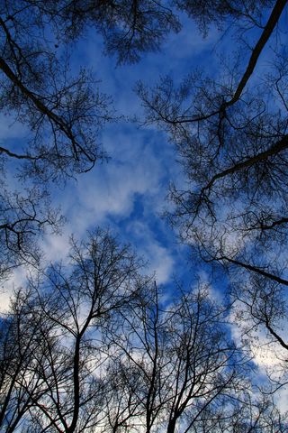 Le ciel vu de la terre ...