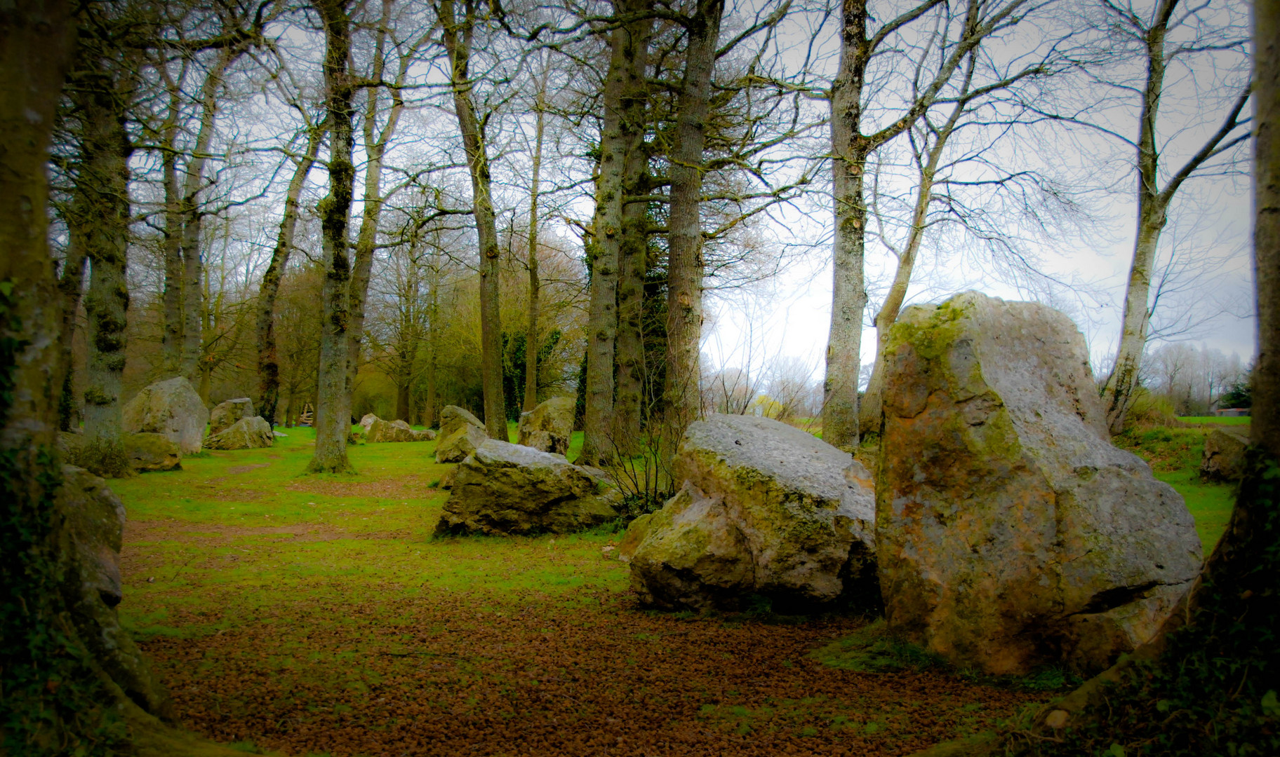 Le cimetière des druides