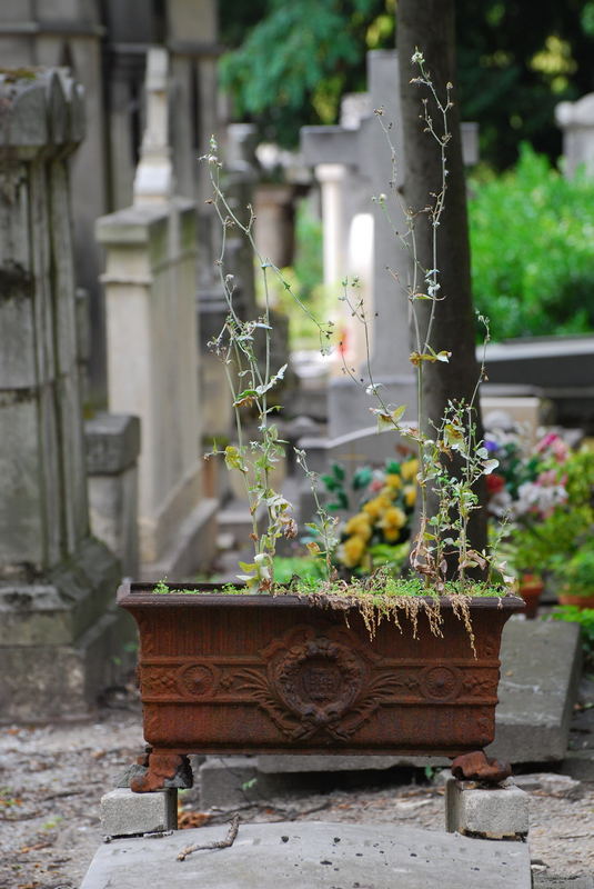 Le cimetière du Père-Lachaise 01