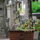 Le cimetière du Père-Lachaise 01