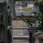 Le cimetière du Père-Lachaise 07