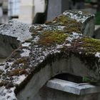 Le cimetière du Père-Lachaise 10