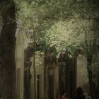 Le Cimetière du Père-Lachaise. Paris 