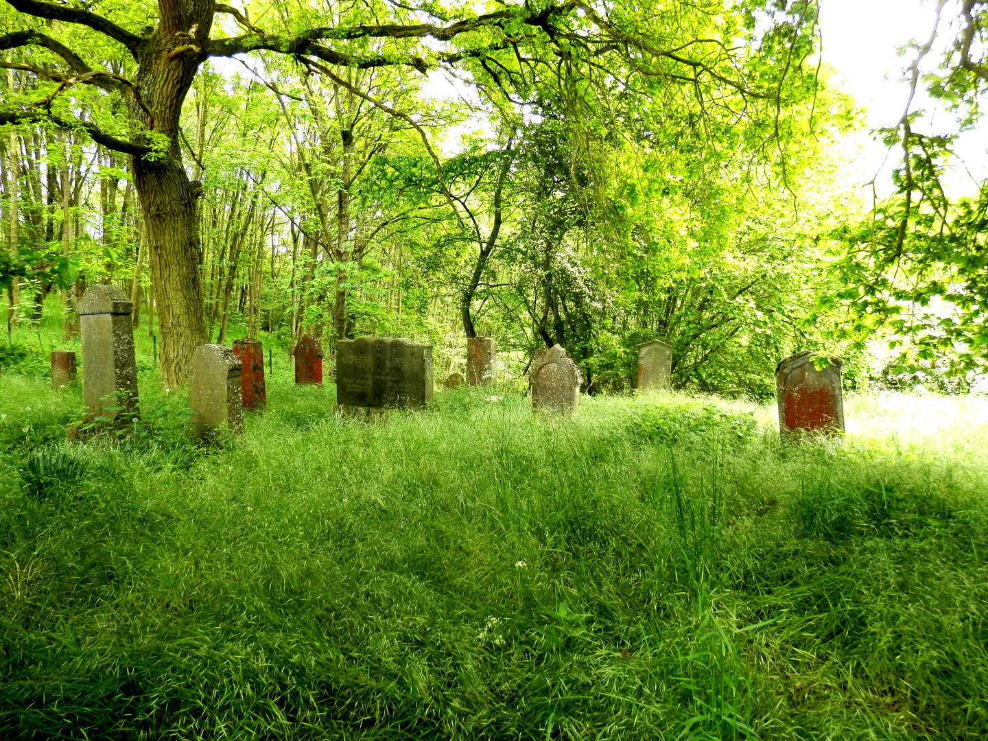 Le cimetière jui d'Arfurt