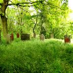 Le cimetière jui d'Arfurt