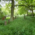 Le cimetière juif d'Arfurt (2)