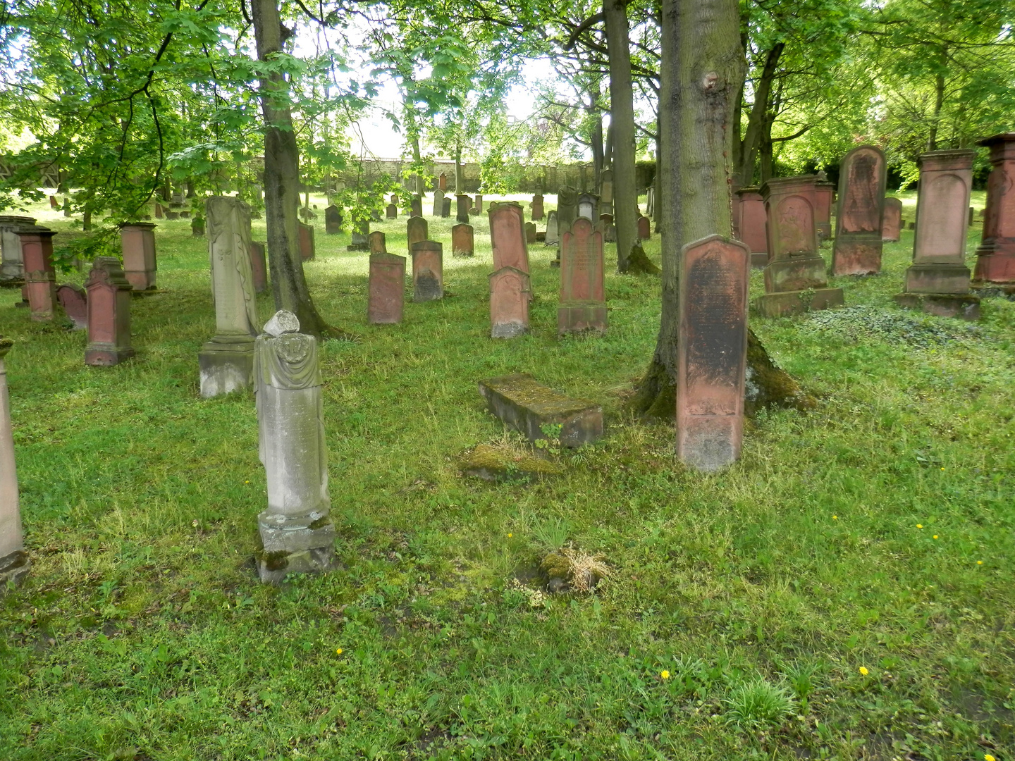 Le cimetière juif de Mayence (1)