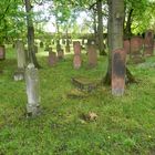 Le cimetière juif de Mayence (1)