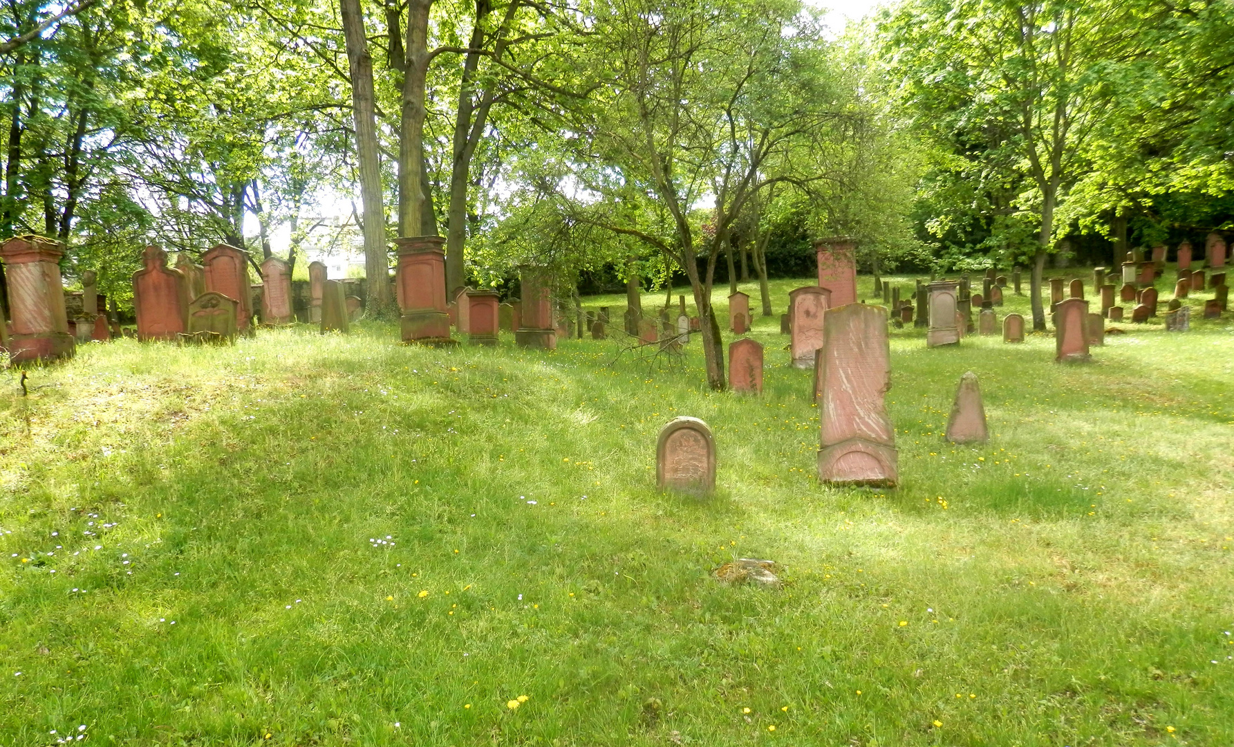 Le cimetière juif de Mayence (2)