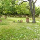 Le cimetière juif de Mayence (3)