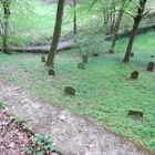 Le cimetière juif de Nastätten (2)