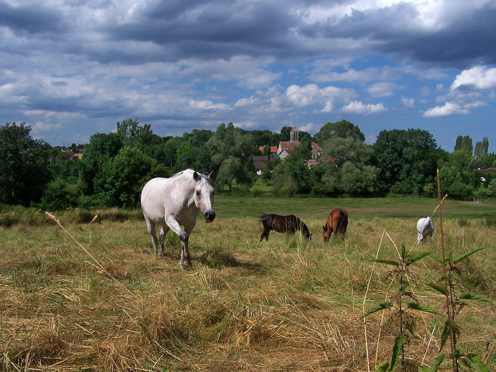 Le clocher de Bernay