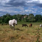 Le clocher de Bernay