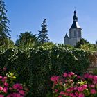 Le clocher de l’Eglise Saint-Nicolas (XIIème siècle) et les hortensias  --  Civray  