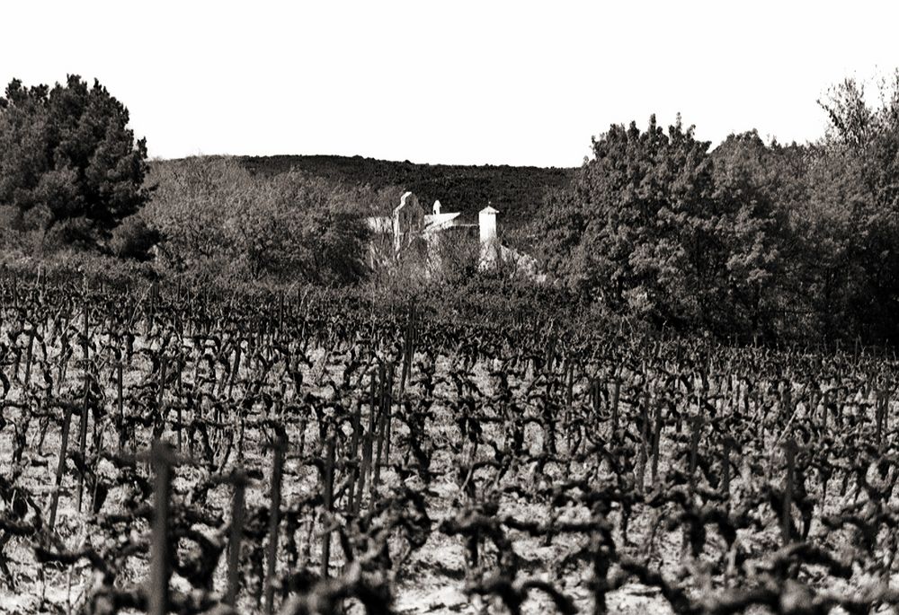 Le cloître