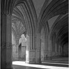 Le Cloître de Condom (XVIème)