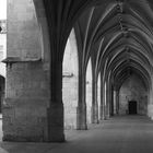 Le Cloître de la Cathédrale (XVIème)