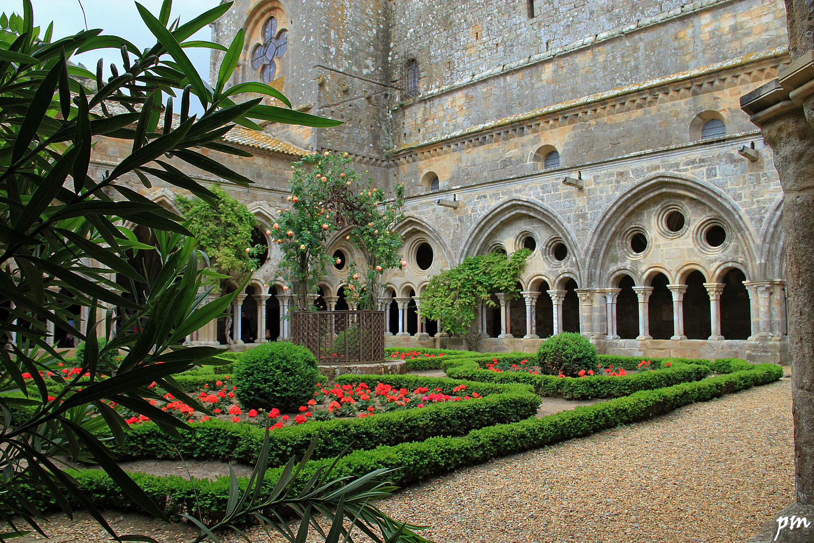 le cloître de l'abbaye de Fontfroide