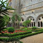 le cloître de l'abbaye de Fontfroide