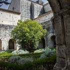 Le cloître de l'abbaye de Sylvacane