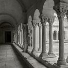 Le cloître