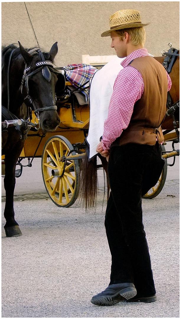 Le cocher et le cheval