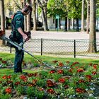 le coiffeur des fleurettes