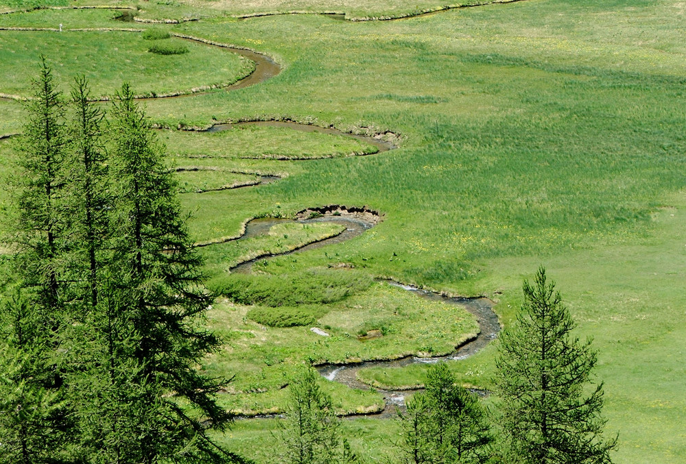 Le Col d'Allos de Ludovic 