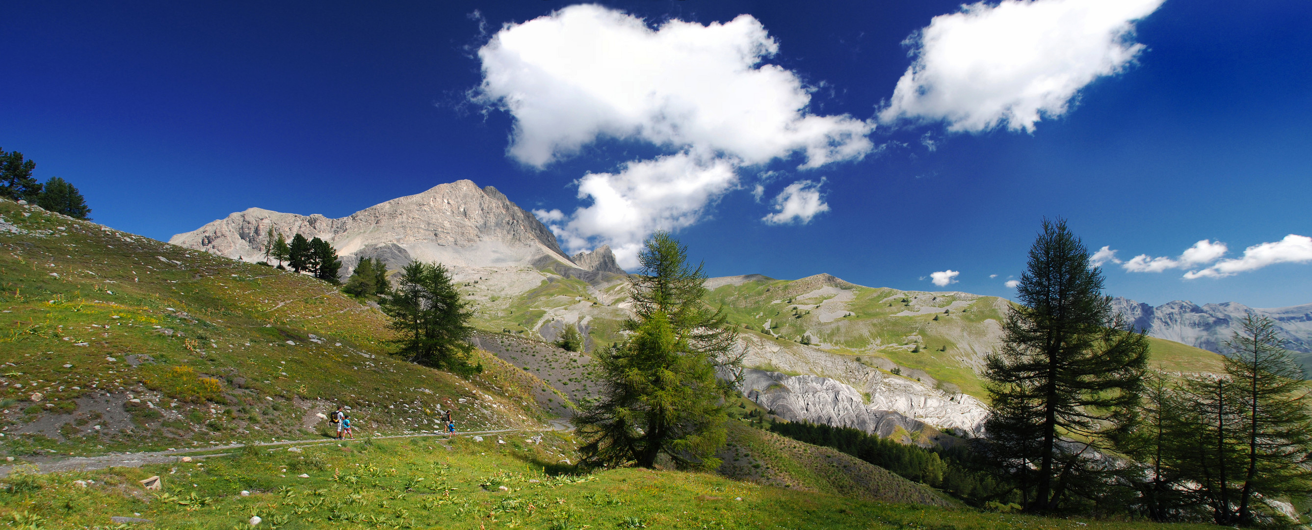 Le Col des Champs