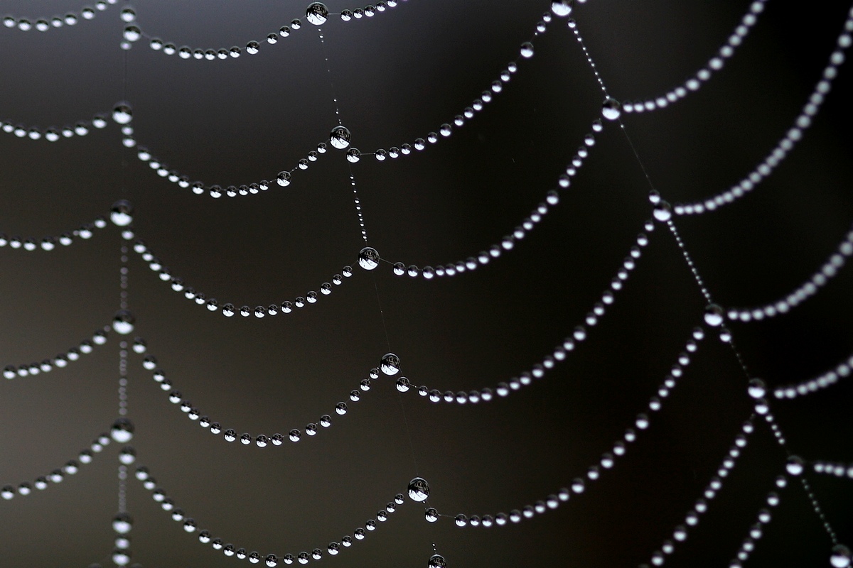 Le collier de cristal