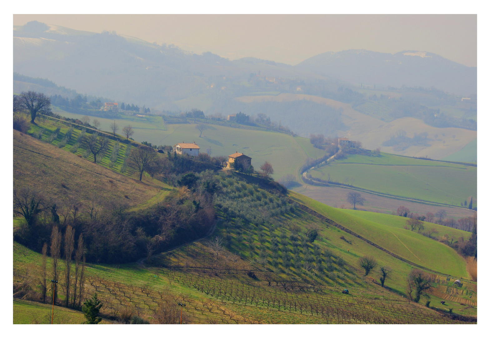 le colline