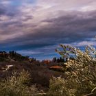 Le colline Bolognesi