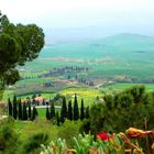 LE COLLINE DELLA TOSCANA