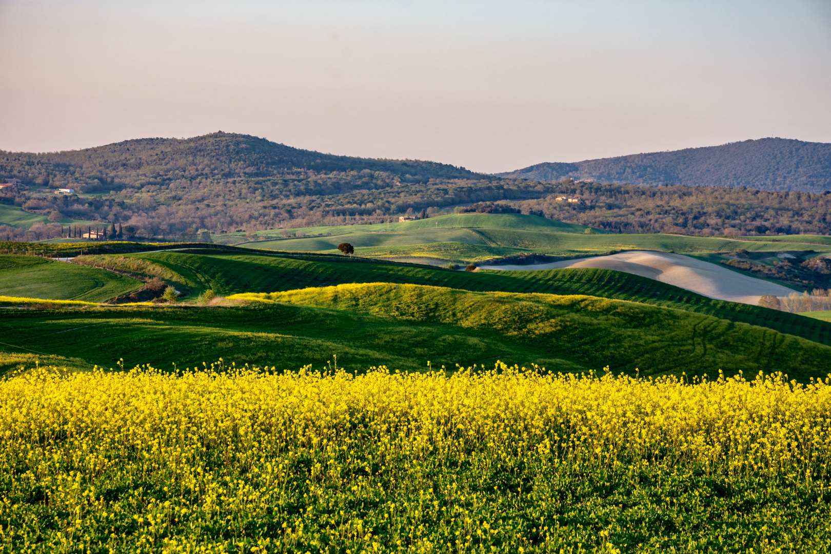 le colline della val d’Orcia