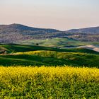 le colline della val d’Orcia