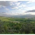 le colline della Val D'Orcia