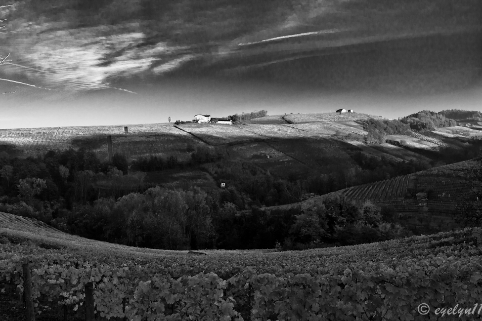 le colline delle lange 2