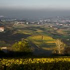 Le colline delle Lange