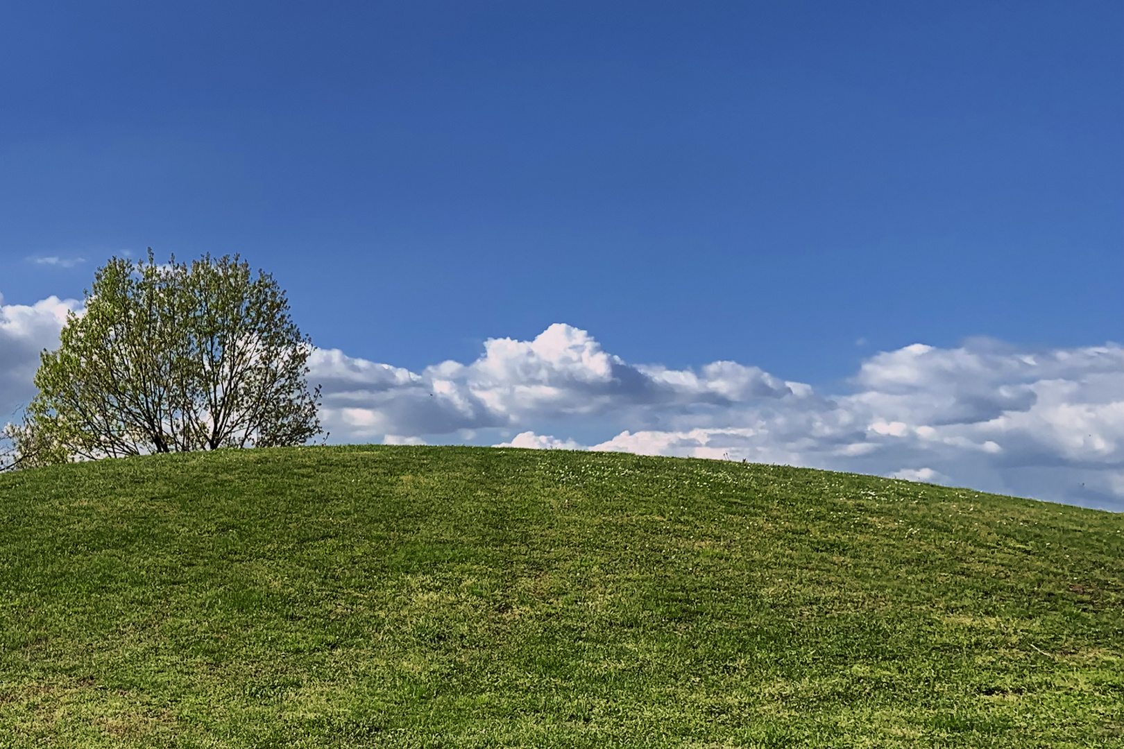 Le colline di Pioltello