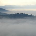 LE COLLINE DI TREVI