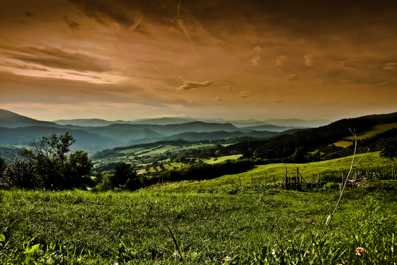 Le colline toscane..................