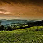 Le colline toscane..................