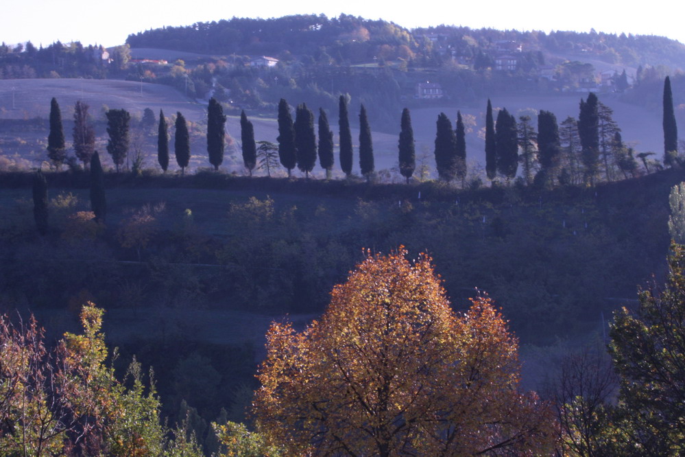 Le colline umbre