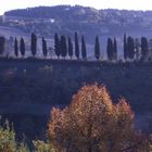 Le colline umbre