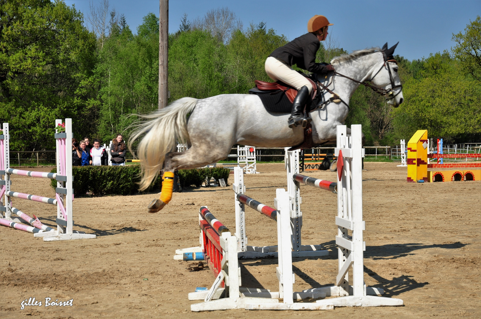 le concours hippique