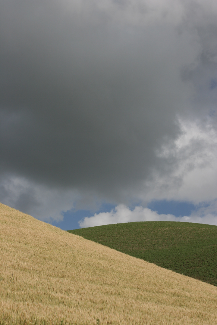 le contraste de la nature