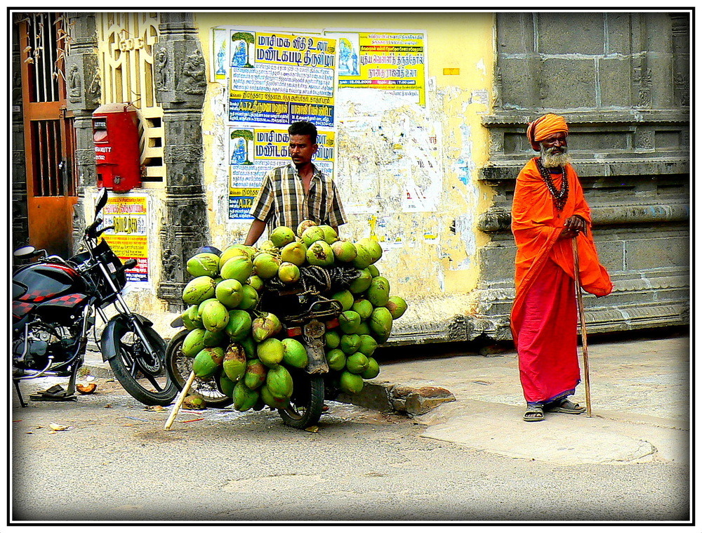 LE CONTROLEUR DU VENDEUR DE NOIX DE COCO