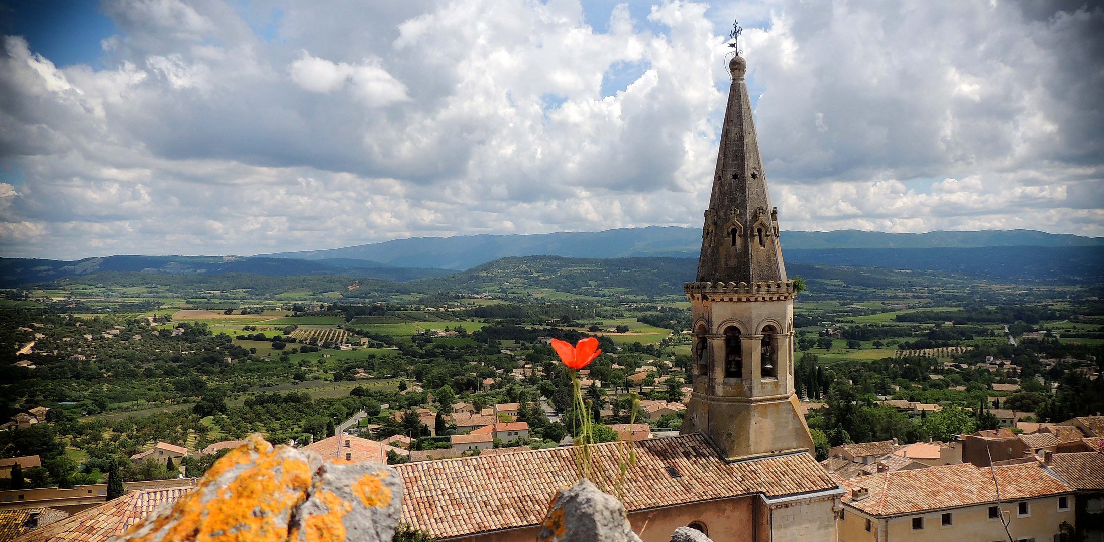 Le coquelicot de St  Etienne  à St Saturnin lès  Apts