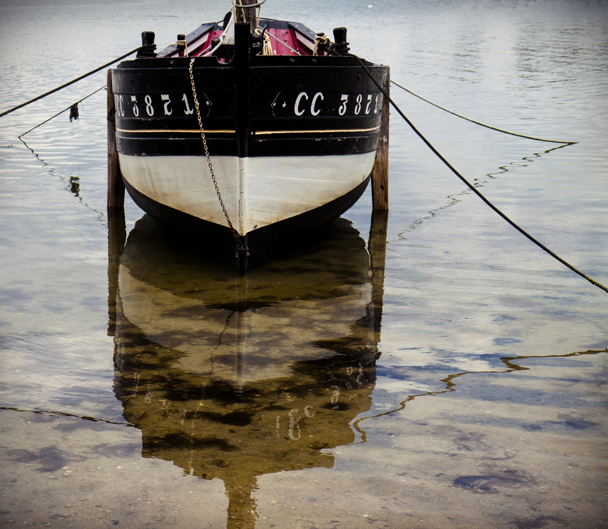 "le corbeau" dans la ria d'Etel Morbihan