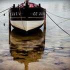 "le corbeau" dans la ria d'Etel Morbihan